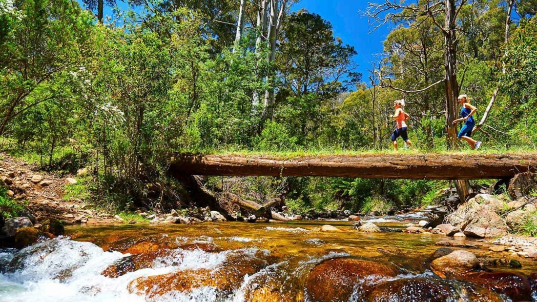 Delatite River Trail