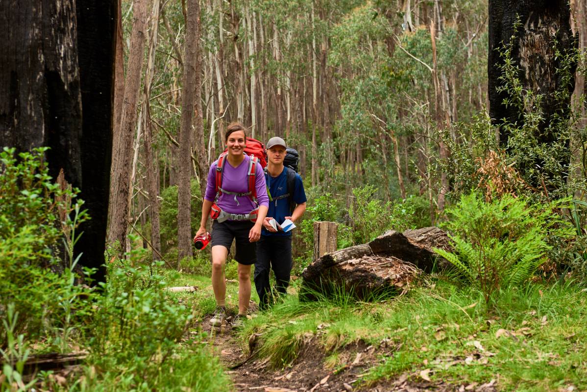 Wombat Drop Interpretive Loop
