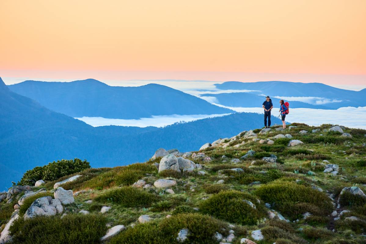 Mt Stirling Summit Loop
