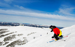 About Mt Buller