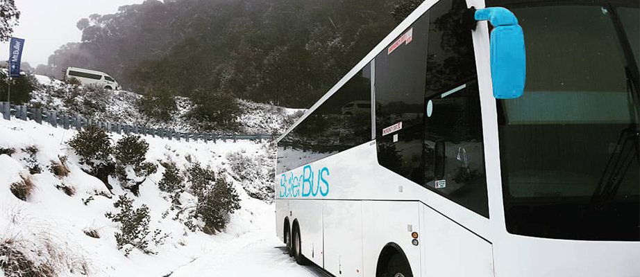 Transfers & Day Tours to Mt Buller