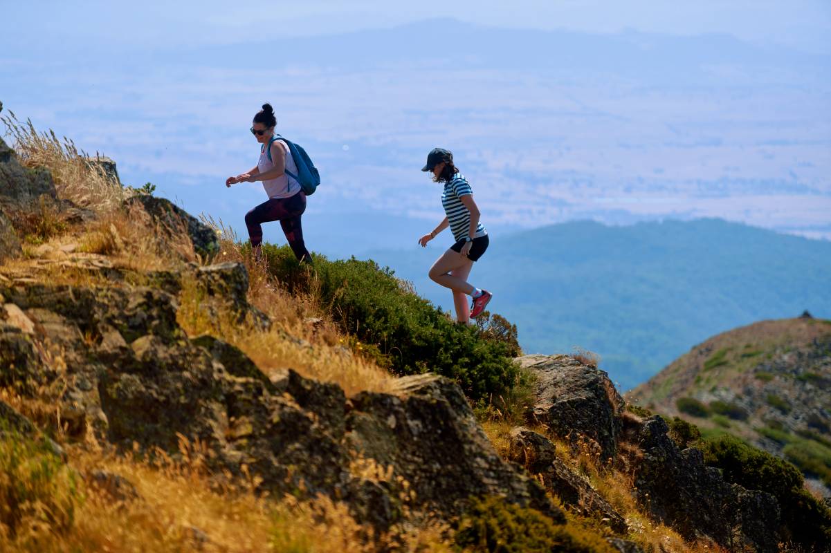 Summit Nature Loop